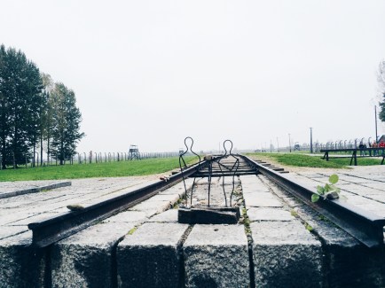 Processed with VSCOcam with hb1 preset